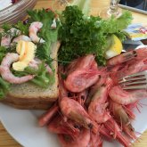 Kvällskryssning på Oslofjorden med norska specialiteter