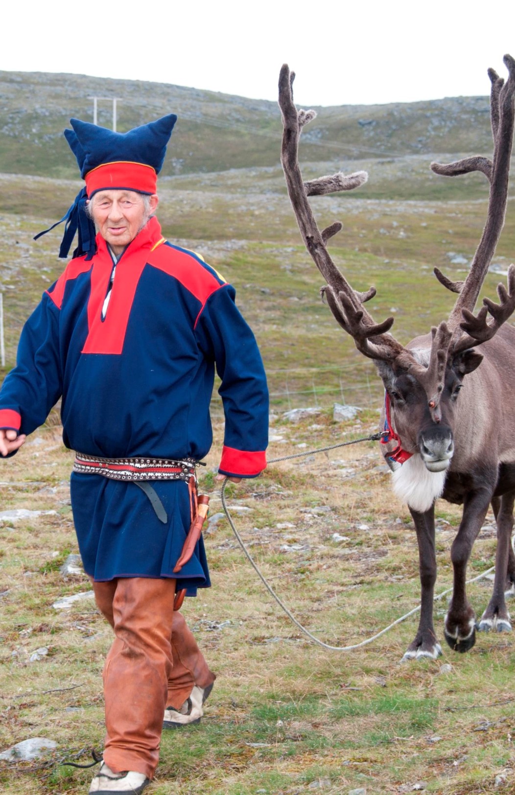 Arktisk Sommarsemester & Tromsø