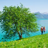 Hardangerfjorden i ett nötskal
